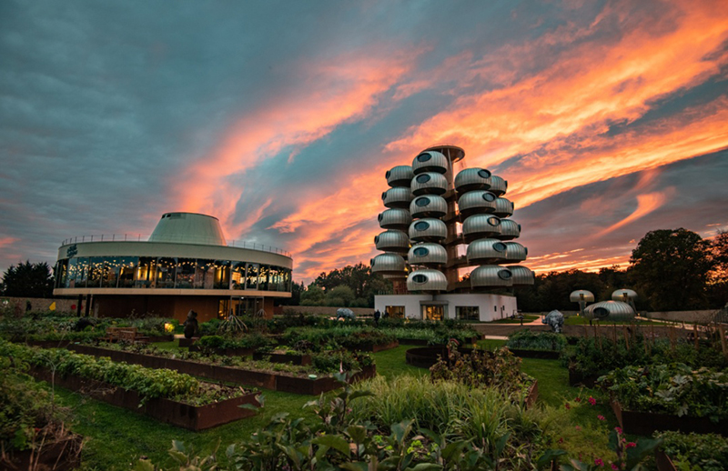 越看越像樹葡萄，但一點(diǎn)都不“土味”